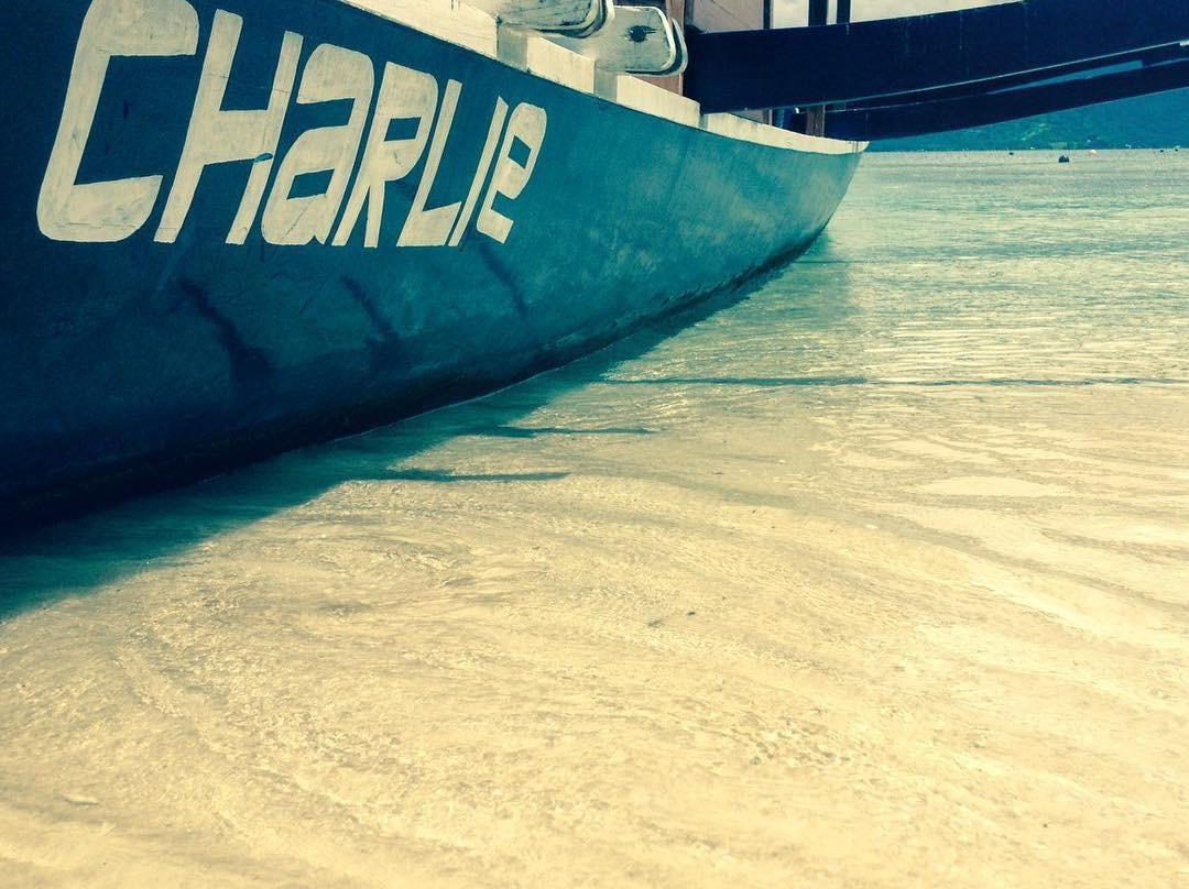 Blue Marlin Dive Gili Air景点图片