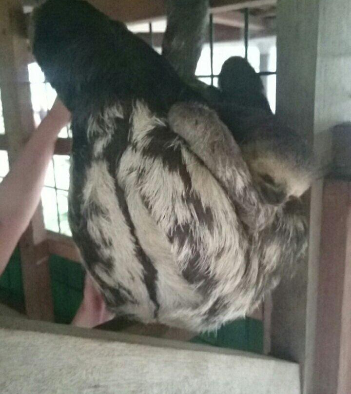 Association Chou Ai-Macouria必去景点