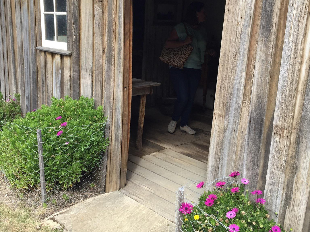 Hartzview Vineyard-Gardners Bay必去景点