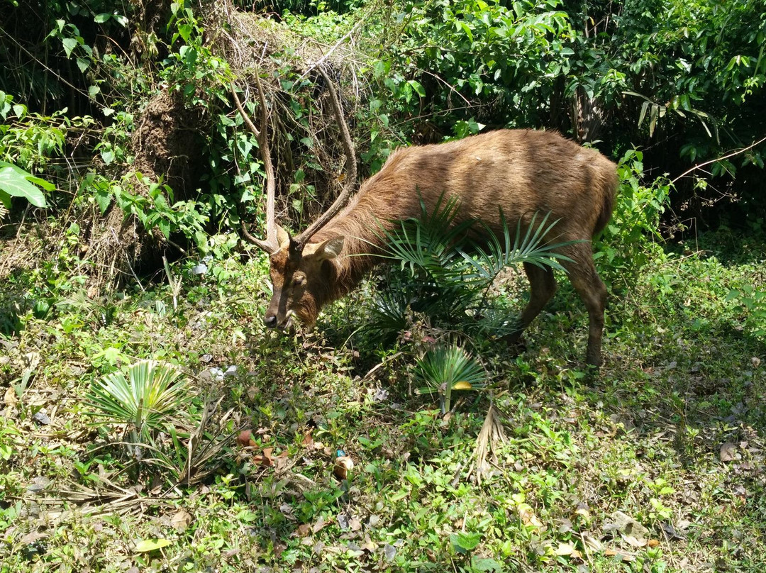 Pancur Beach-巴纽旺宣必去景点