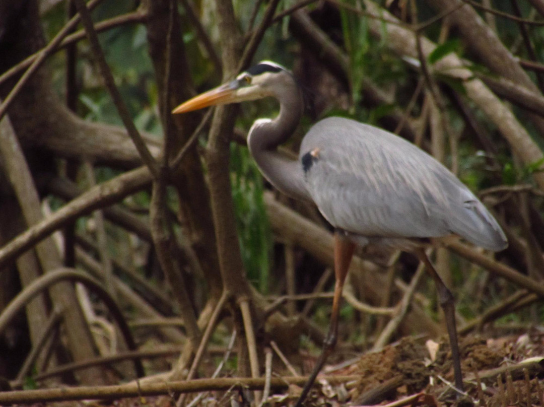 dondeJavitours-萨玛拉滩必去景点