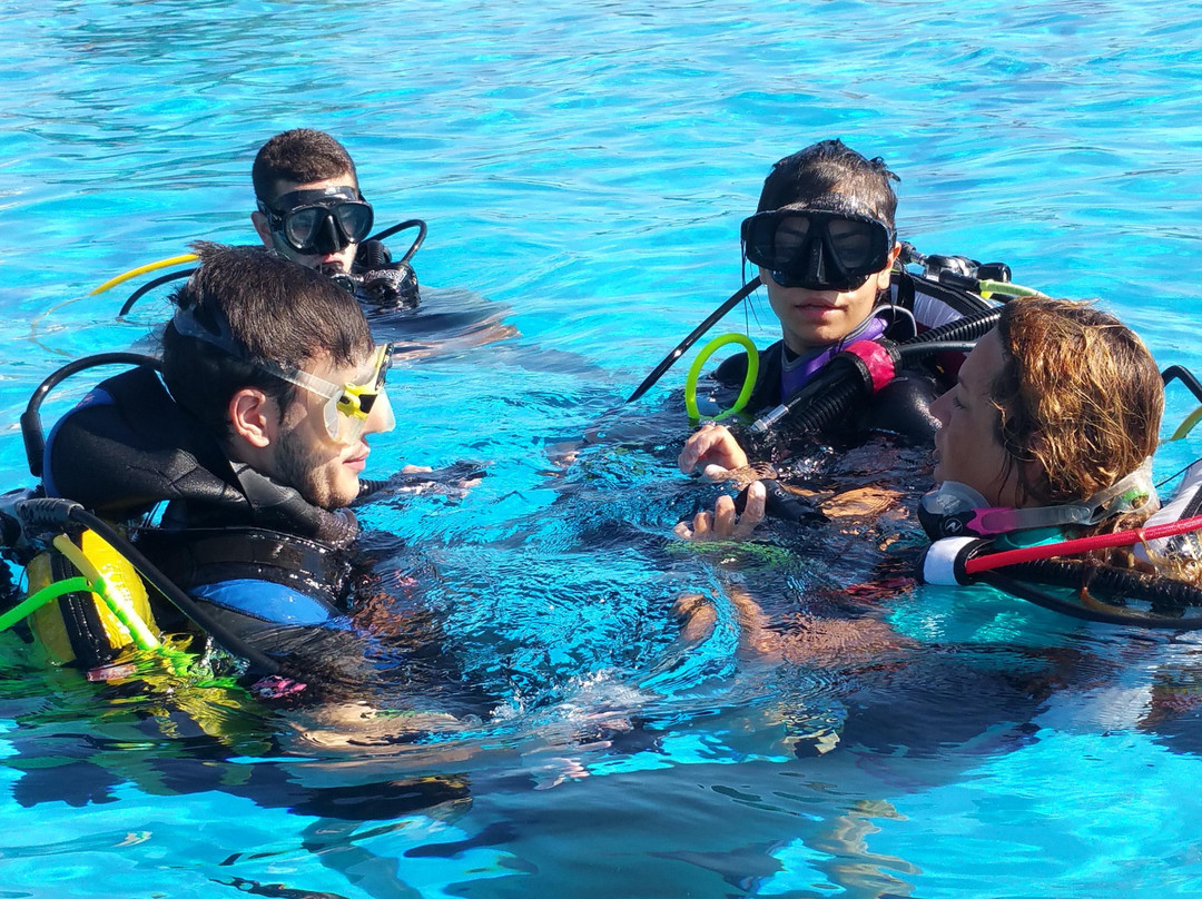 Posidonia Ecosports景点图片