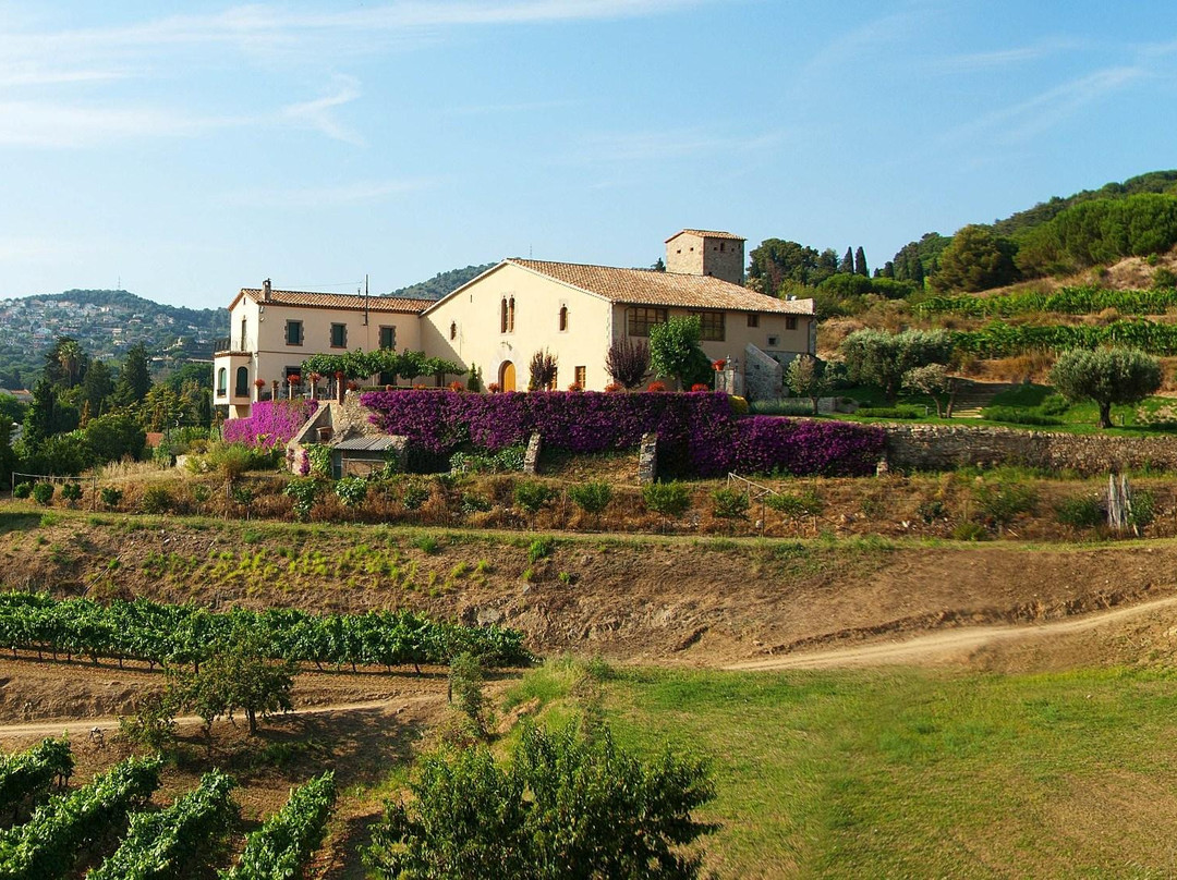 Vallromanes旅游景点-Bouquet d'Alella