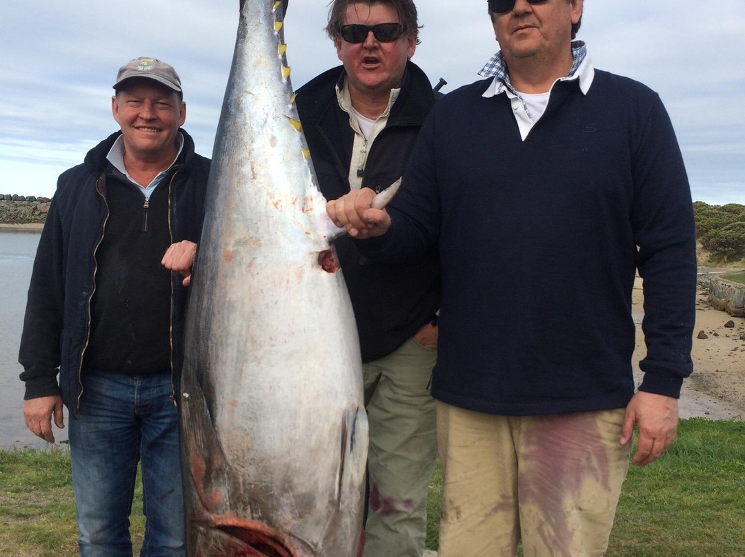 Hit n Run Fishing Charters-阿波罗湾必去景点