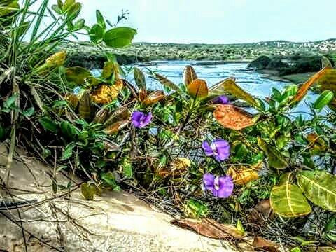 Muriu Beach-Genipabu必去景点