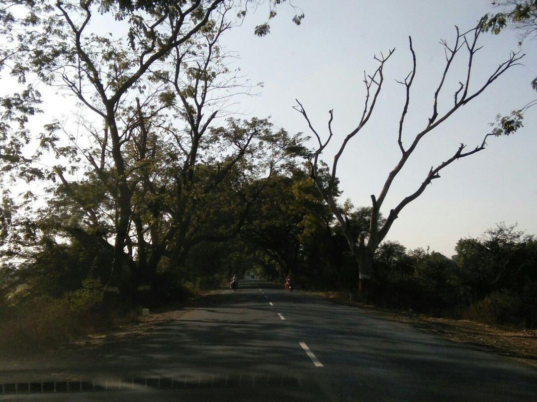 Balaram Ambaji Wildlife Sanctuary‎景点图片
