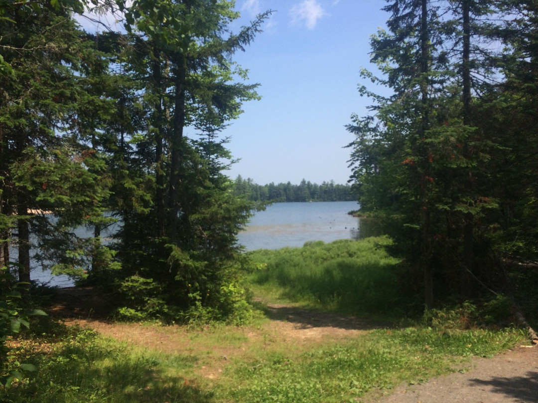 Killarney Lake Park Trail景点图片