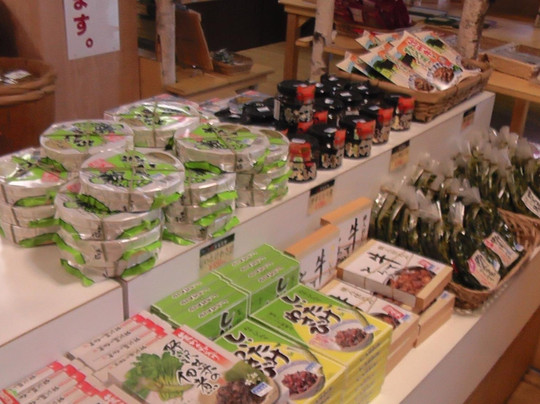 Echo Norikura-松本市必去景点