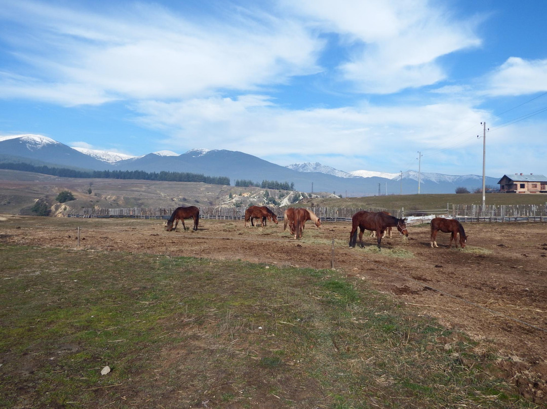 Horse Base Perivolas