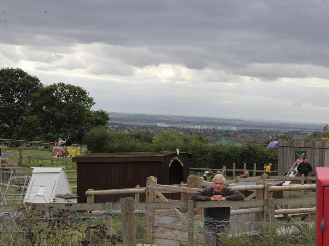 Hadleigh Farm - Rare Breeds Centre景点图片