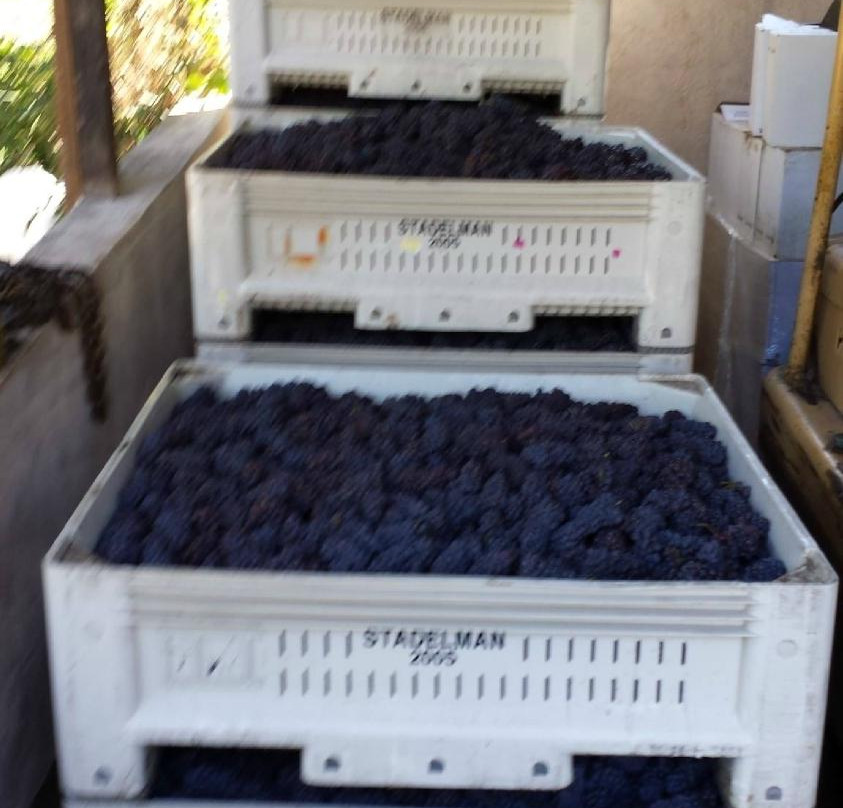 Helvetia Vineyards & Winery-希尔斯伯勒必去景点