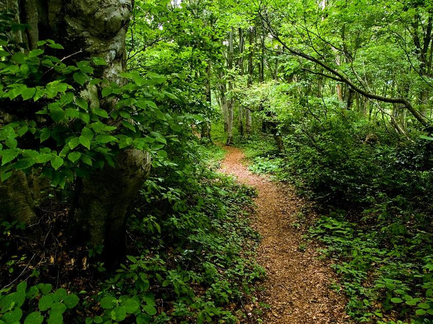 Shinetsu Trail-饭山市必去景点