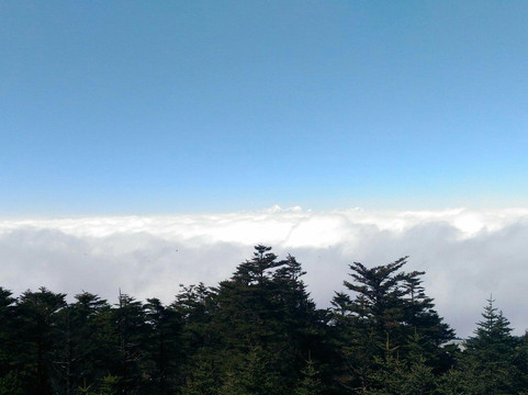 峨眉山饭店·禅悦（成都武侯祠华西医院店）主图