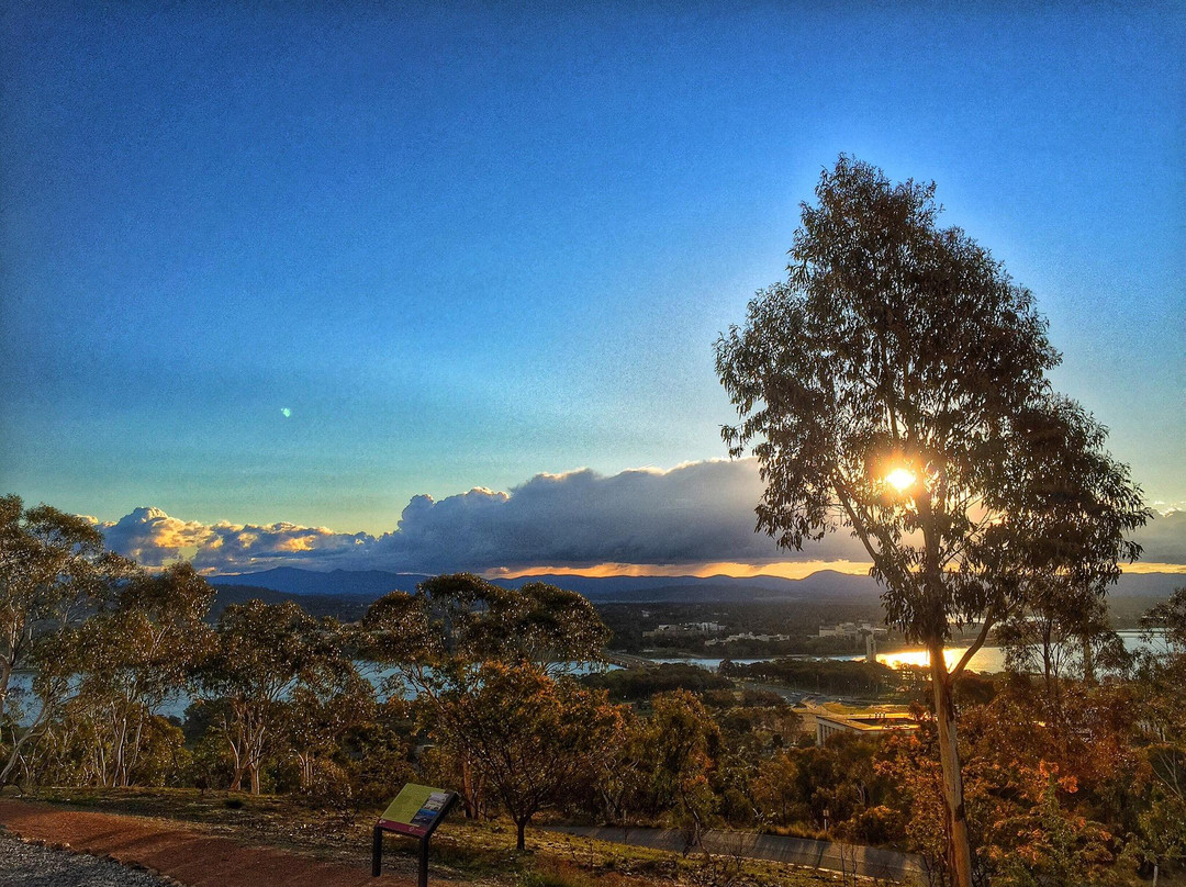 Pialligo旅游景点-Mount Pleasant Lookout