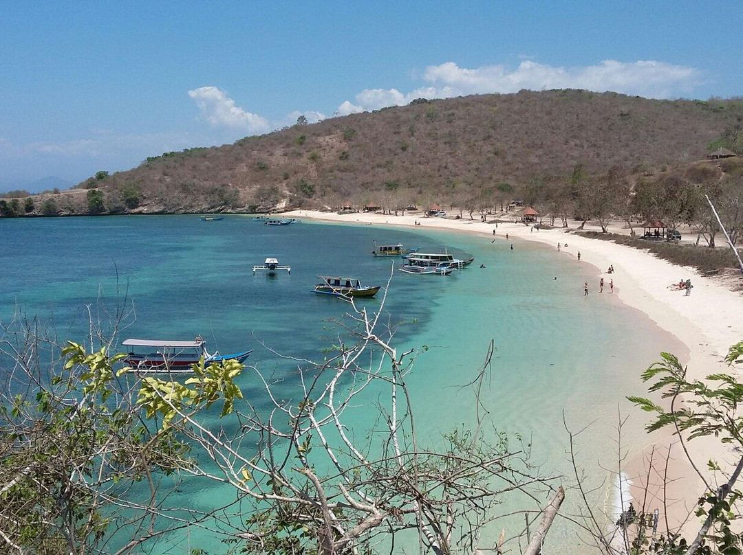 Tanjung Luar Fish Market-龙目岛必去景点