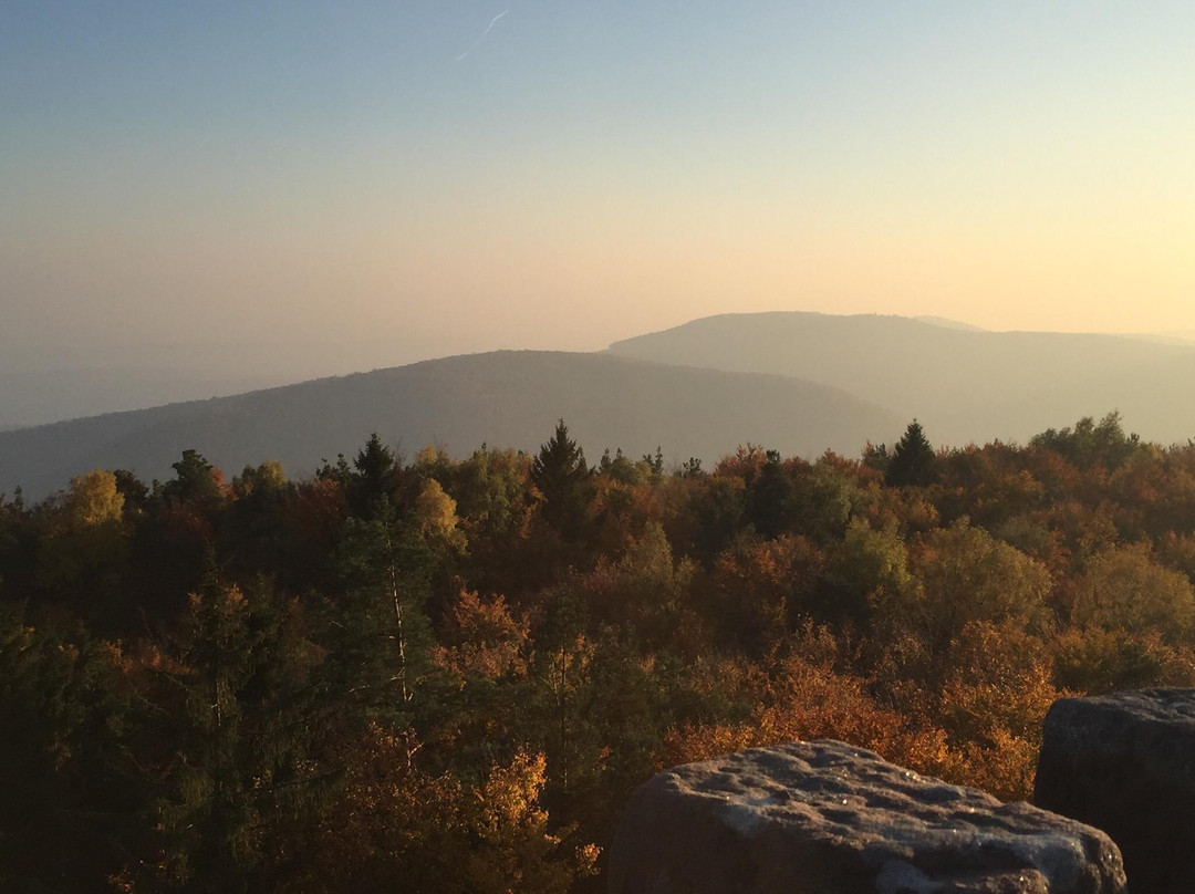 Massif du Grand Wintersberg景点图片