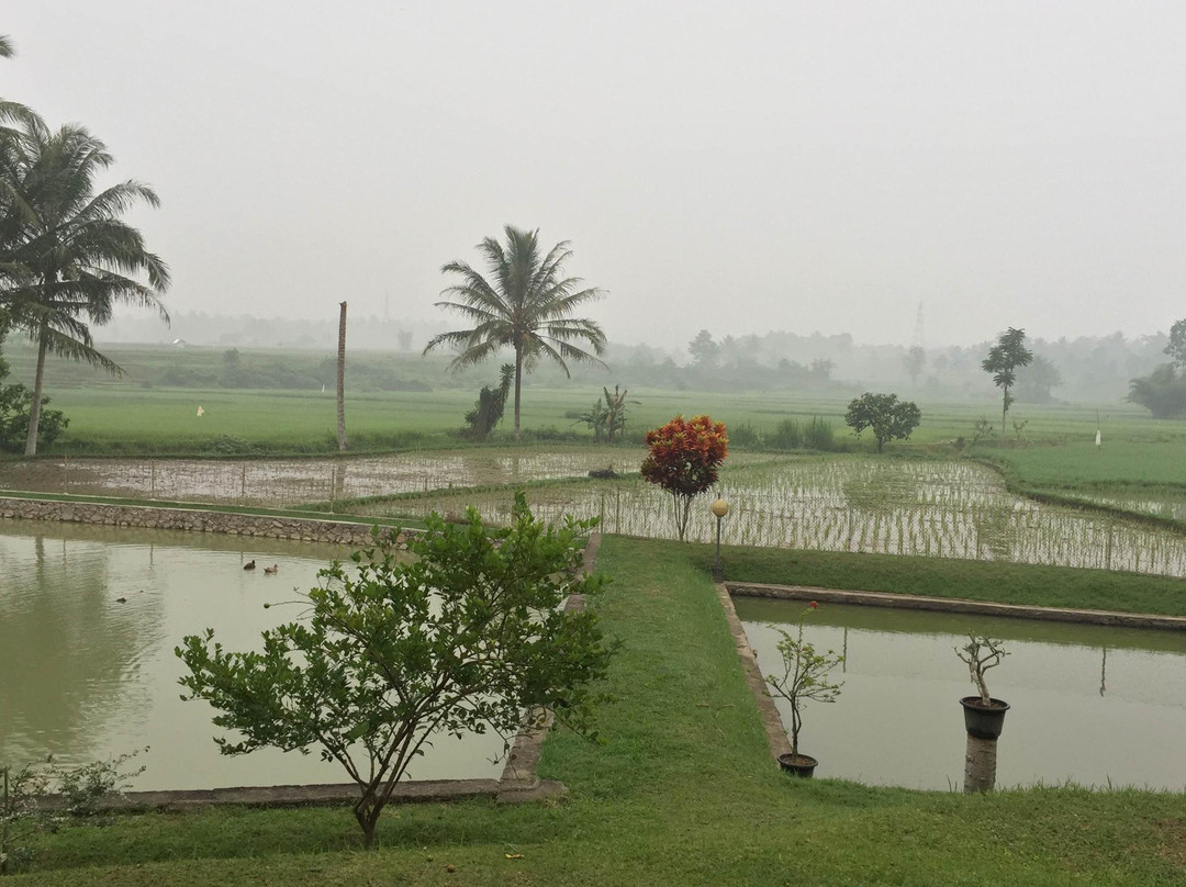 Hotel Kolivera主图