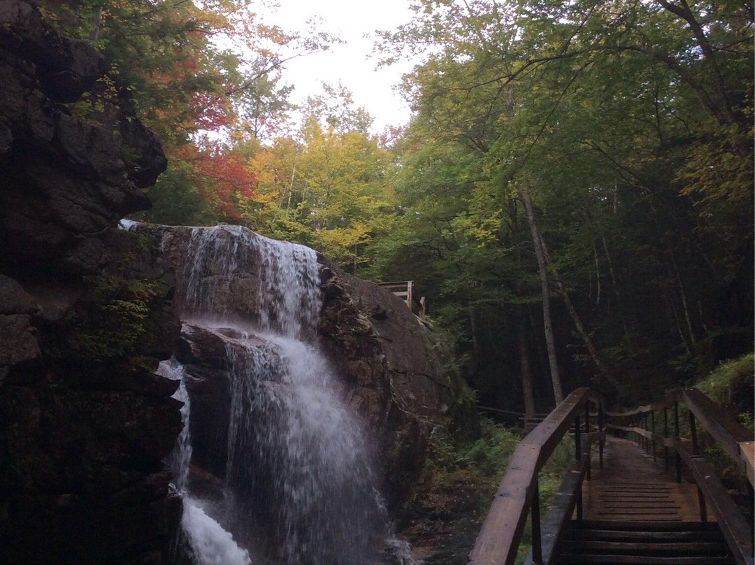 Avalanche Falls-弗朗科尼亚必去景点