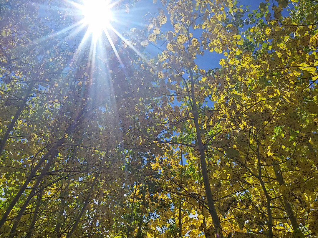 Booth Falls-韦尔必去景点