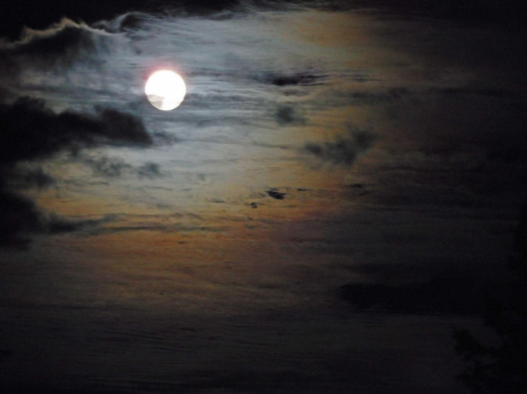 Golden Pond B&B主图