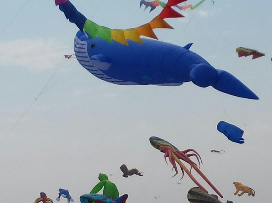 Neshotah Park-Two Rivers必去景点