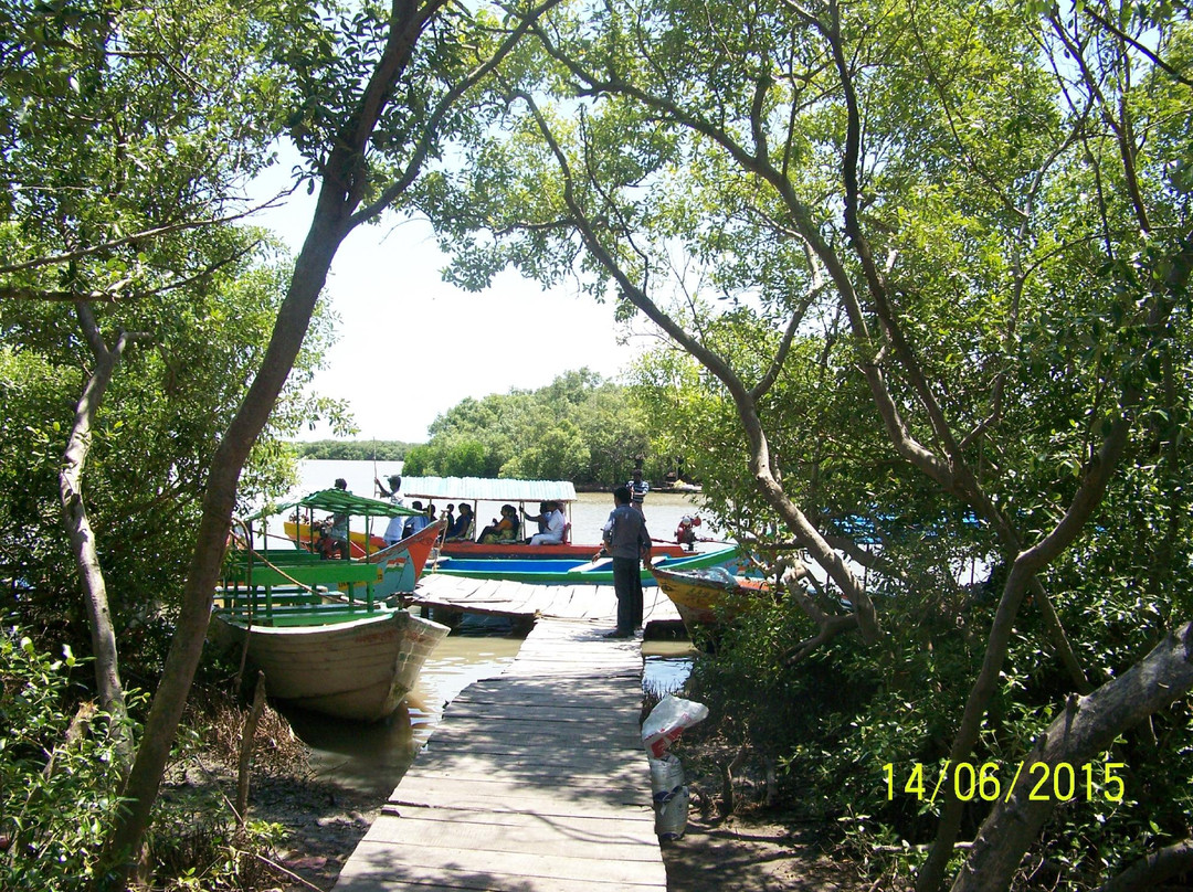 Muthupet Lagoon景点图片