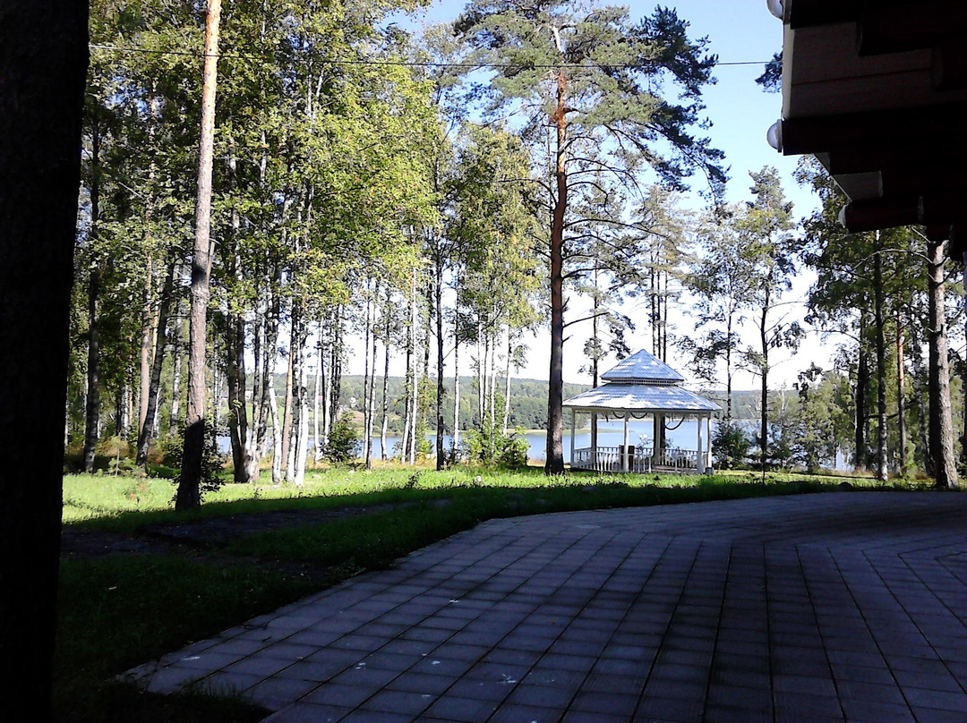 Sem Ozyor