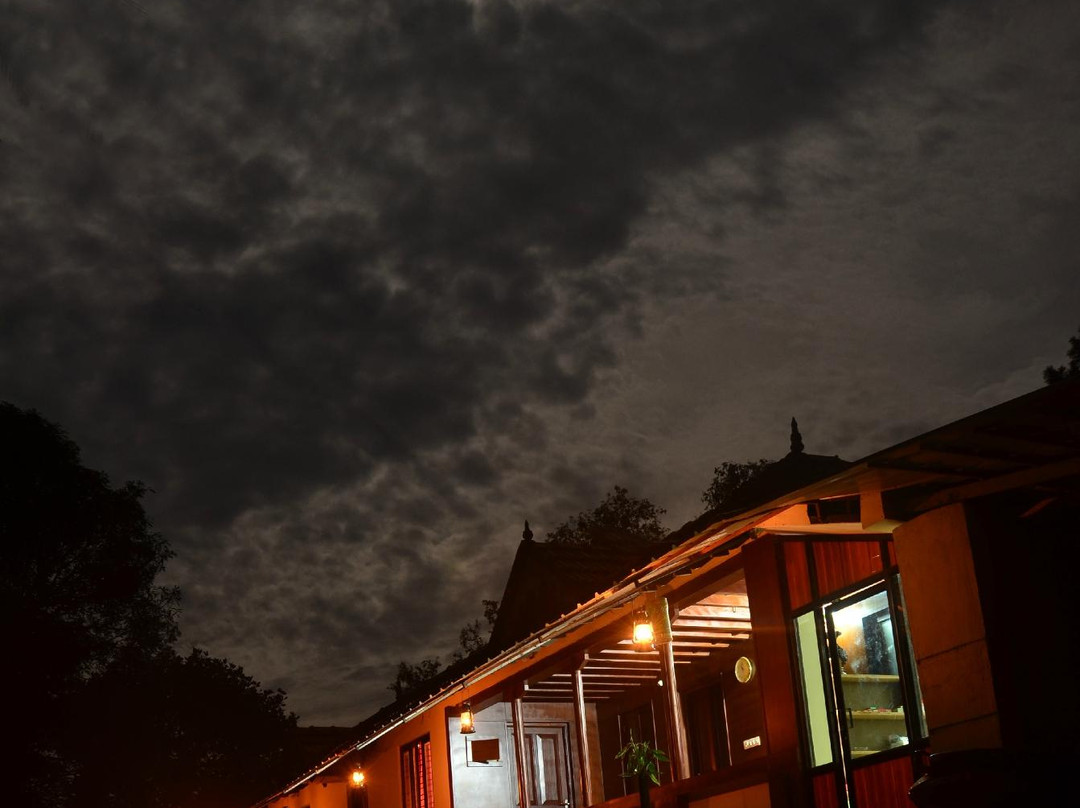 Mezzma - The Shack主图