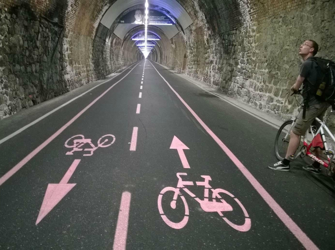 Elio Sport - Vendita Noleggio Biciclette景点图片