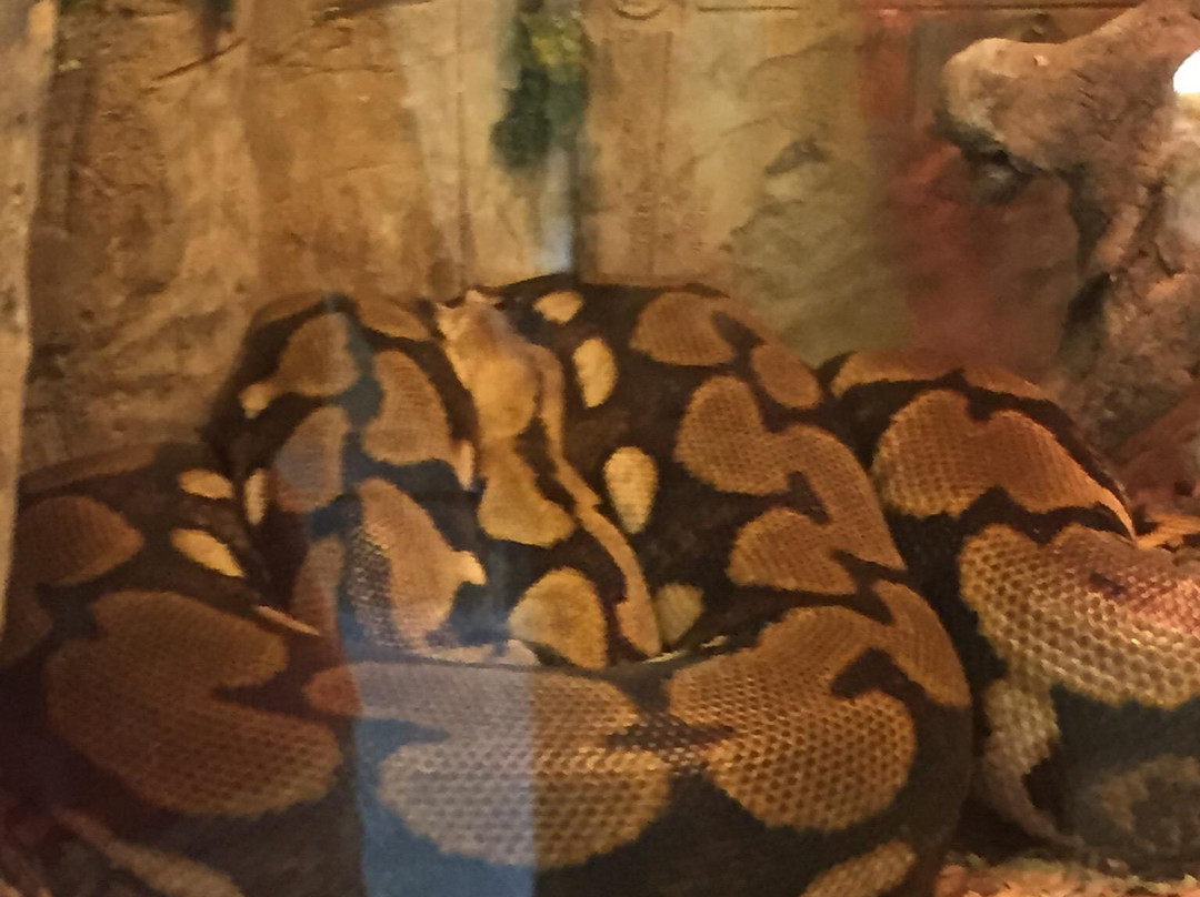 Oxbow Meadows Environmental Learning Center-哥伦布必去景点