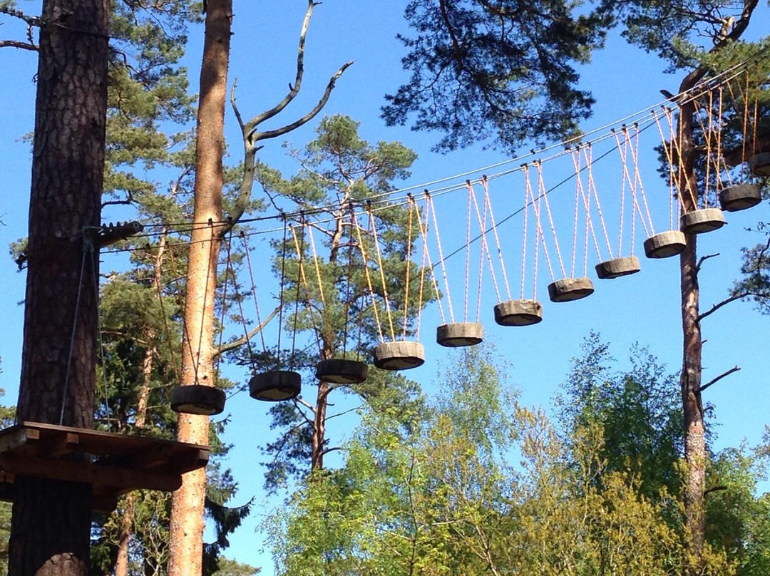 Upzone Adventure Park Angelholm-Ängelholm必去景点