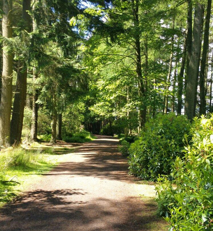 Crombie Country Park-Forfar必去景点