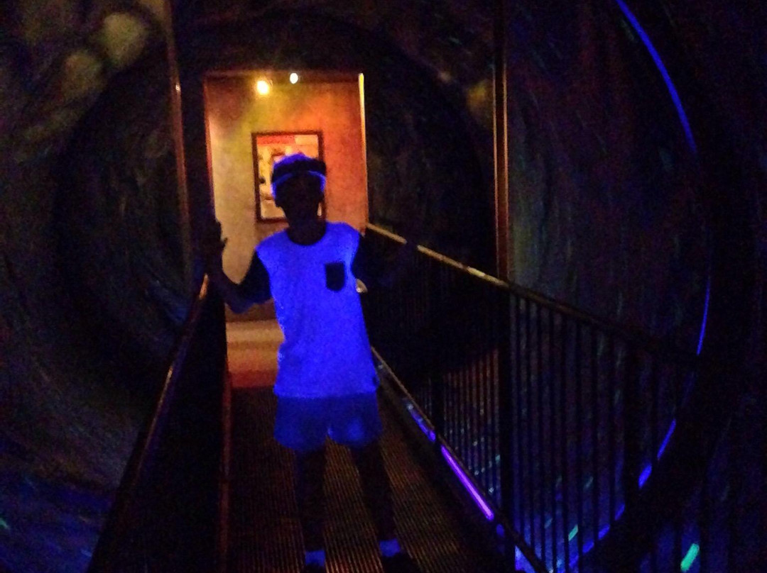 信不信由你博物馆-冲浪者天堂必去景点