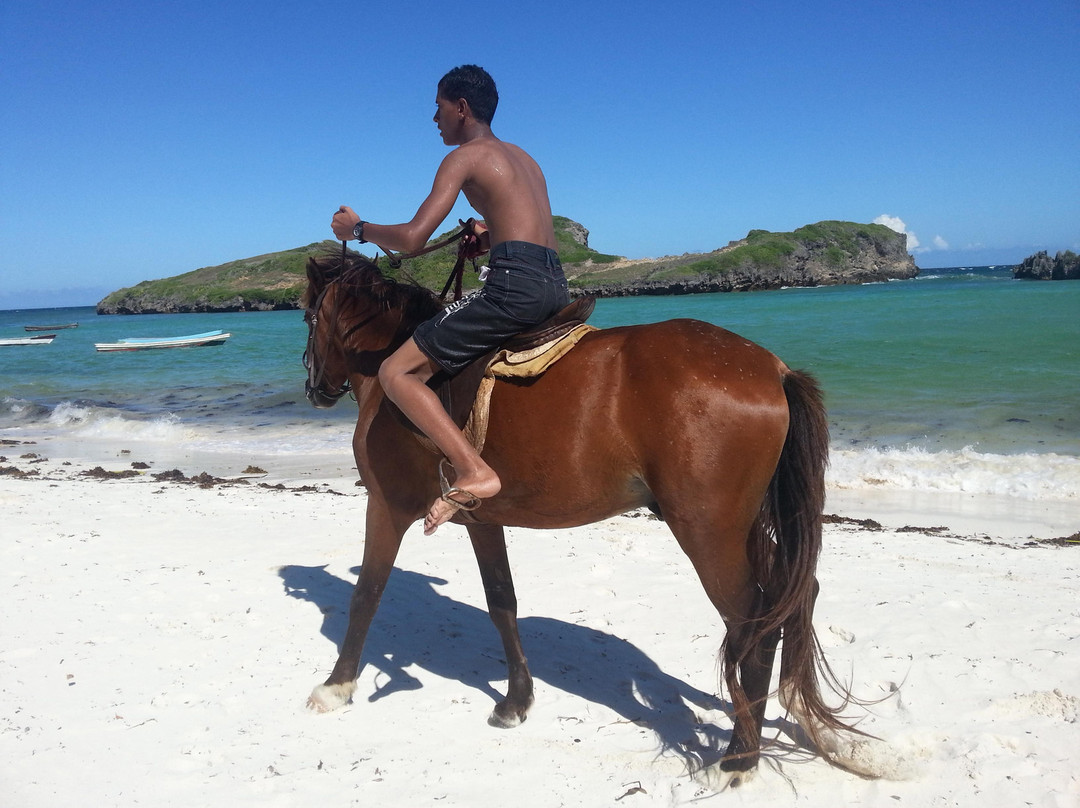 Watamu Beach-马林地必去景点