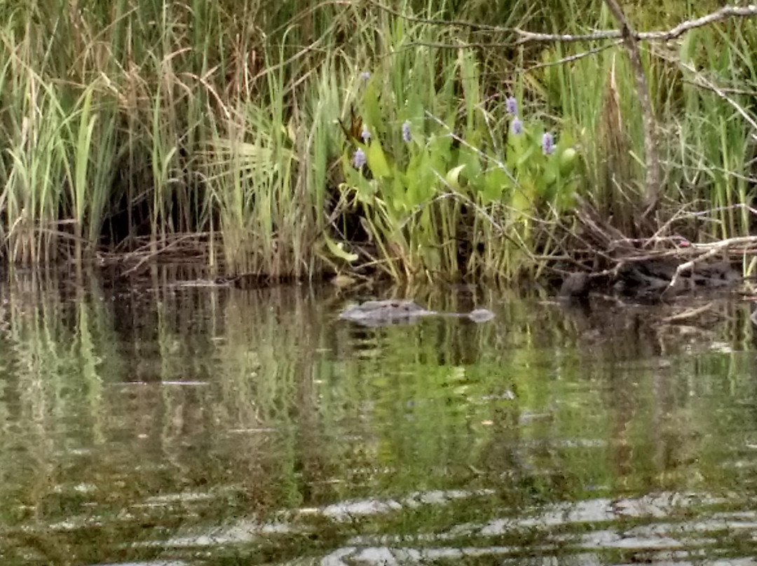Windy Point Nautical Adventures-Holden Beach必去景点