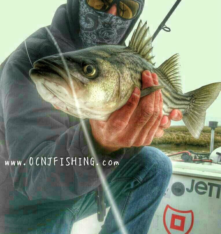 Badfish Fishing Charters-Somers Point必去景点