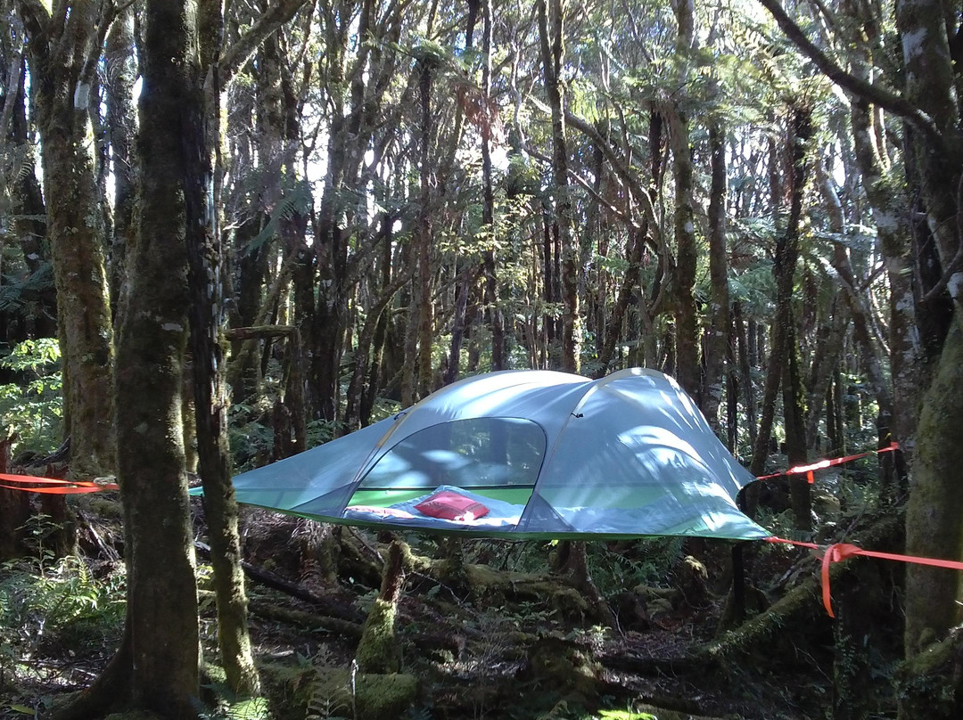 Pupu Rangi Nature Sanctuary