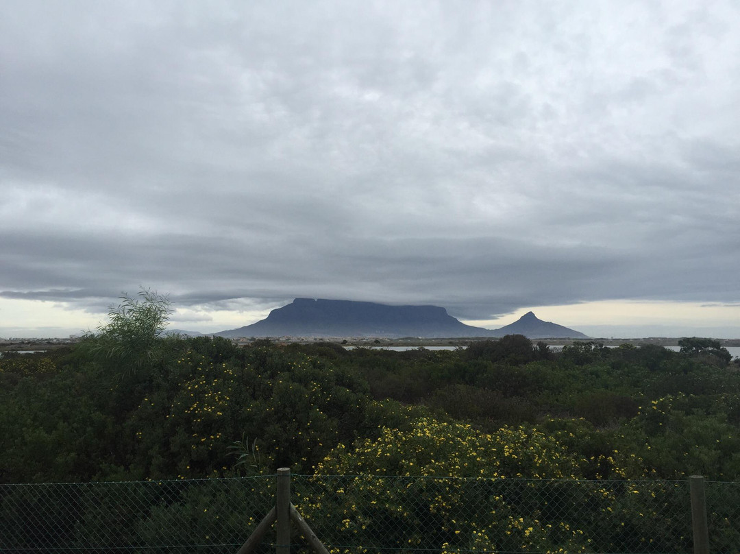 Cape Oasis Guesthouse主图