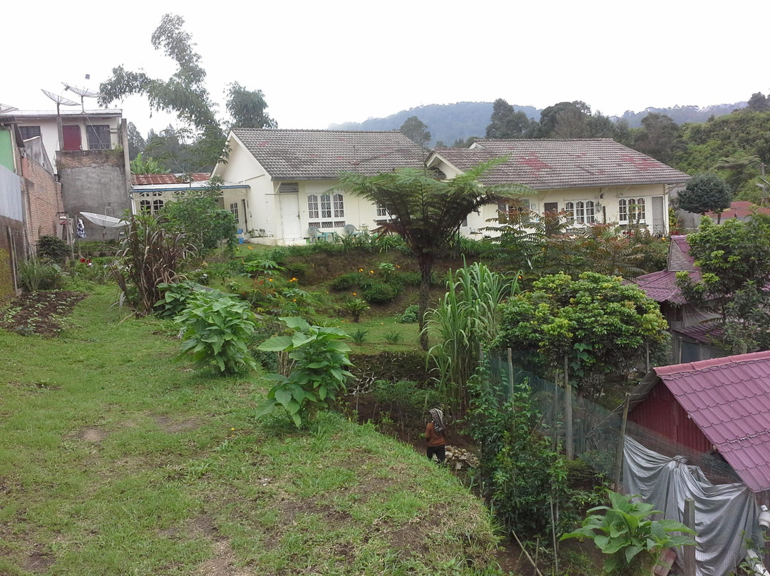 Guesthouse Talitha