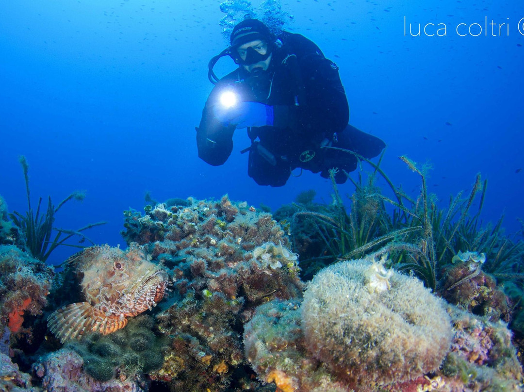 Pianeta Blu Diving Center-文蒂米利亚必去景点