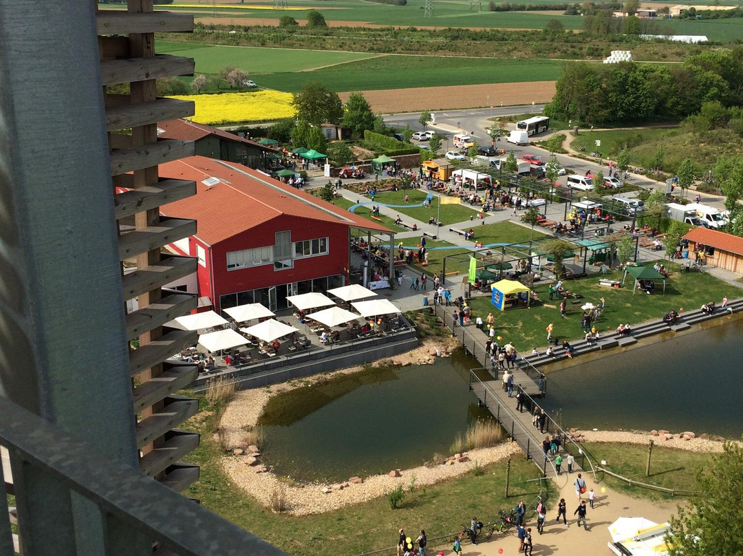 Weilbacher Kiesgruben-Florsheim必去景点