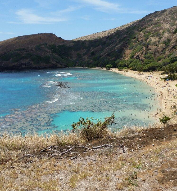 Snorkelfest Snorkel Hanauma Bay-火奴鲁鲁必去景点