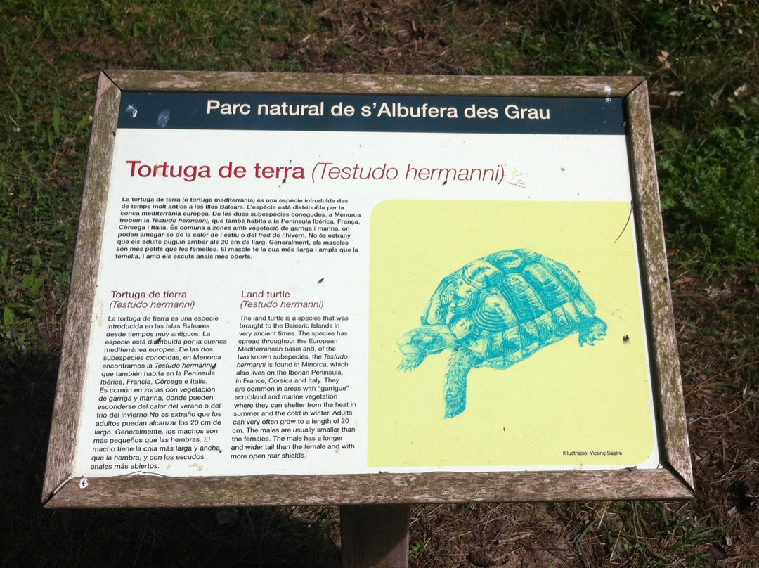 Nature Parc of S'Albufera des Grau-米诺卡必去景点