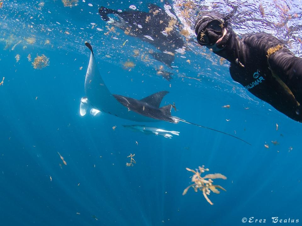 Apnea Australia景点图片