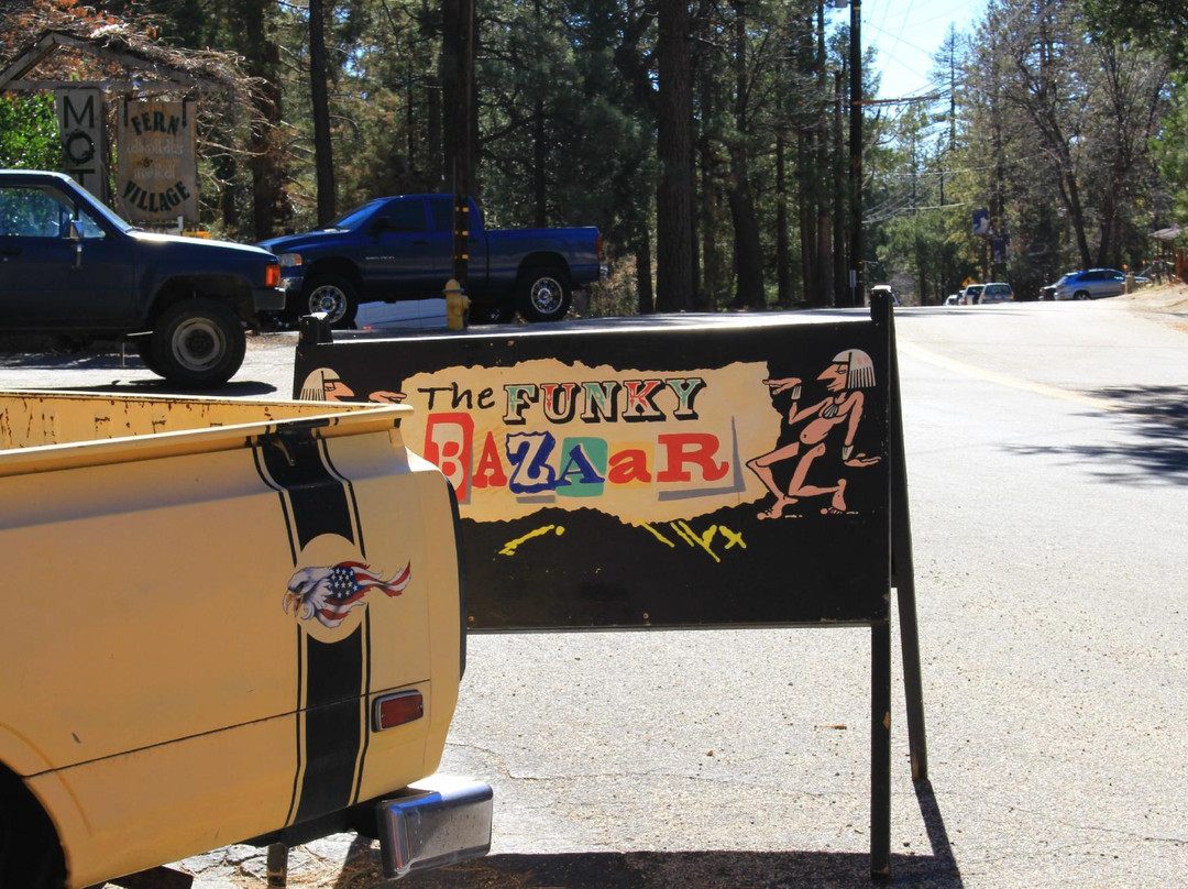 the funky bazaar-Idyllwild必去景点