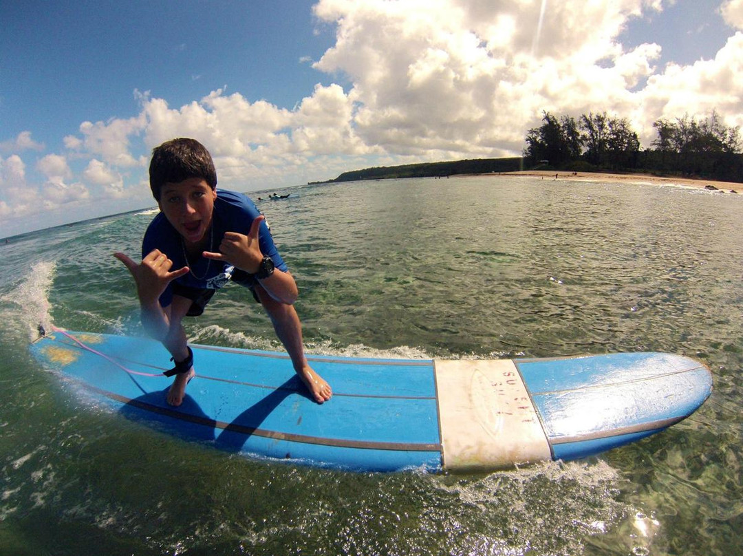 Sea Turtle Camp-威尔明顿必去景点