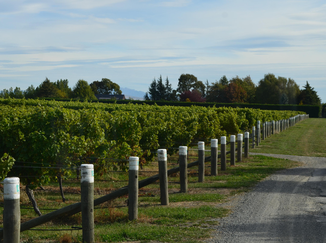 Moa Brewing Company-布伦海姆必去景点