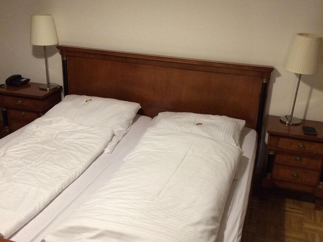 Schwarzer Adler主图