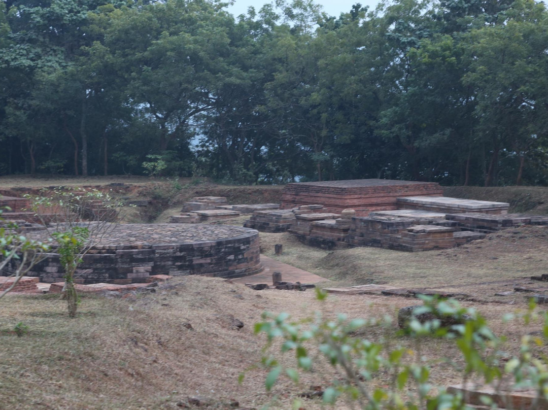 Ratnagiri Buddhist Excavation景点图片