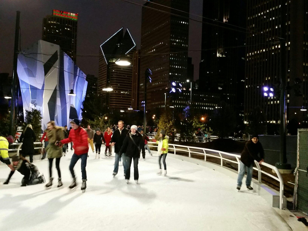 麦琪戴利公园-芝加哥必去景点